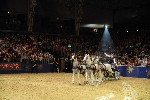 Extreme - 00942